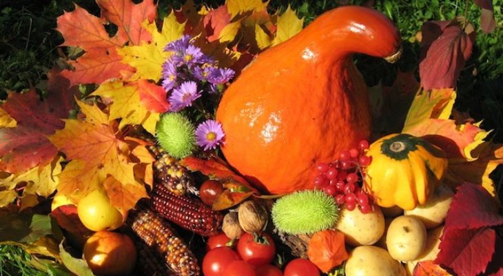 Десять продуктов питания, которые дарит осень 